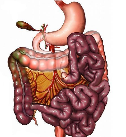 腸息肉者，排便出現(xiàn)3個異常，十有八九息肉已變成“癌”